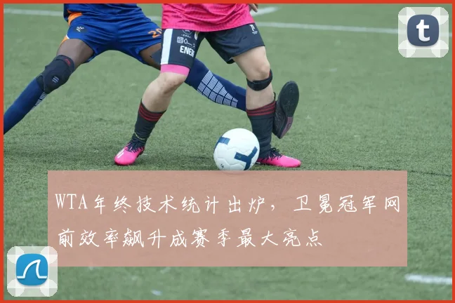 WTA年终技术统计出炉,卫冕冠军网前效率飙升成赛季最大亮点 - 虎扑体育推荐