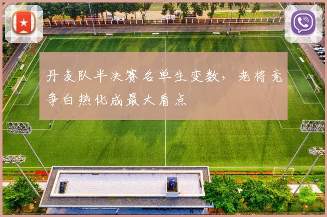 丹麦队半决赛名单生变数,老将竞争白热化成最大看点 - 虎扑体育推荐