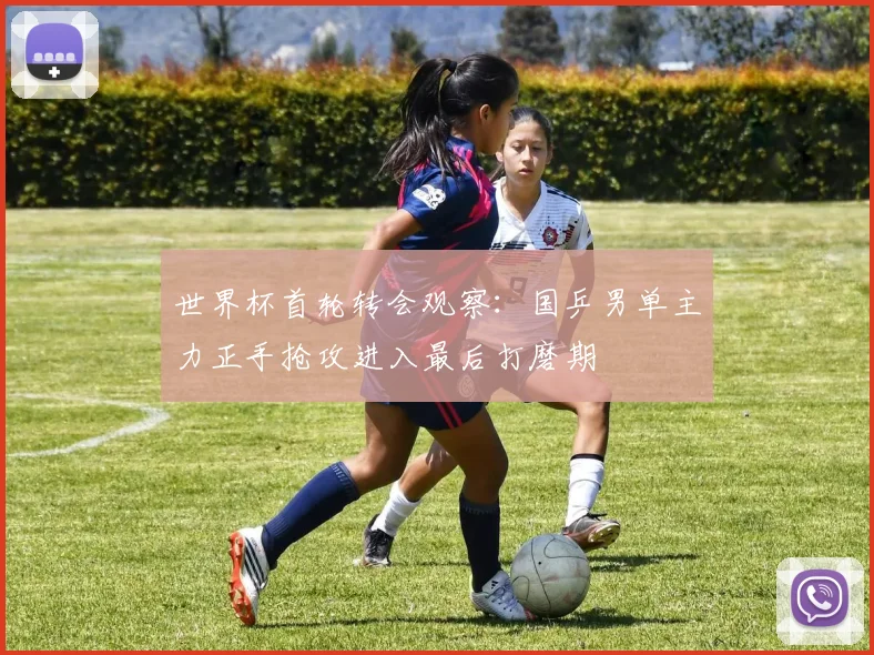 世界杯首轮转会观察:国乒男单主力正手抢攻进入最后打磨期 - 虎扑体育推荐