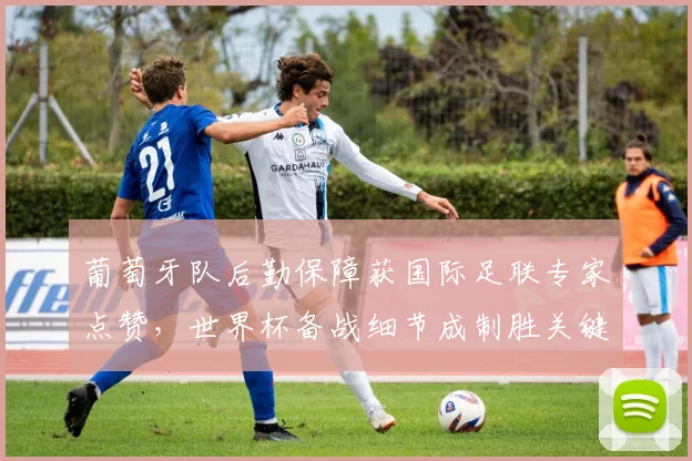 葡萄牙队后勤保障获国际足联专家点赞,世界杯备战细节成制胜关键 - 虎扑体育推荐