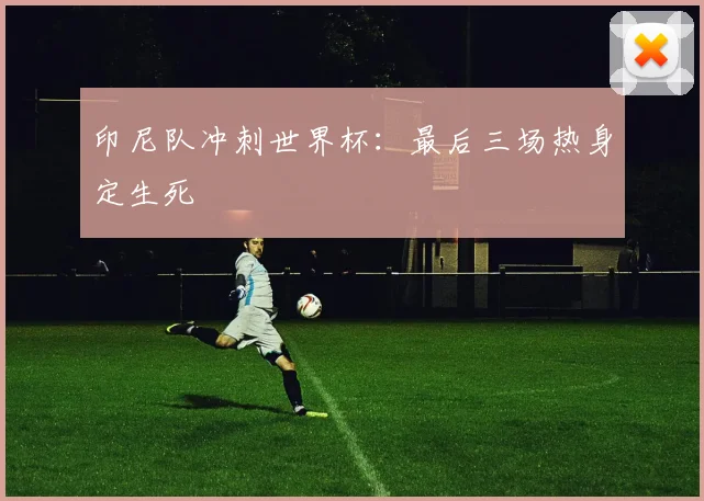 印尼队冲刺世界杯:最后三场热身定生死 - 虎扑体育推荐
