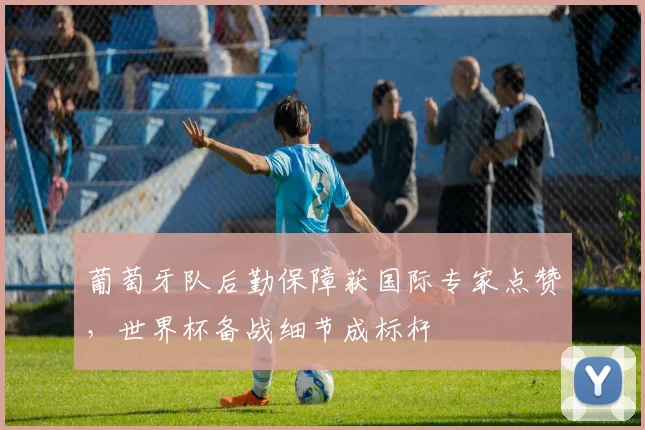葡萄牙队后勤保障获国际专家点赞,世界杯备战细节成标杆 - 虎扑体育推荐